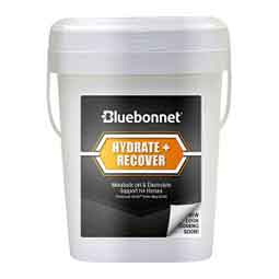 Turbo Mag BCAA Horse Supplement  Stride Animal Health